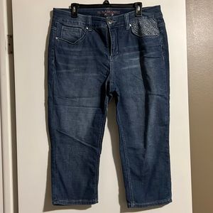 Melissa McCarthy Capri jeans